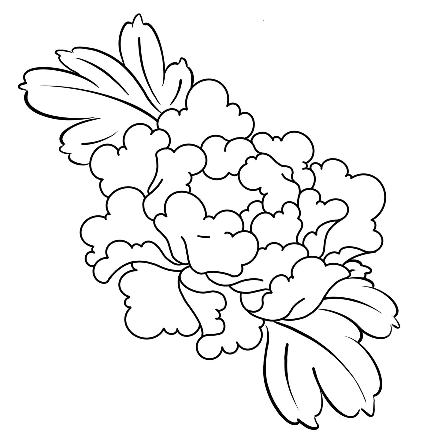 Peony 2