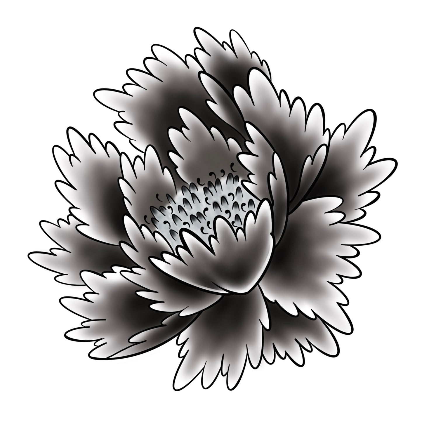 Peony 4