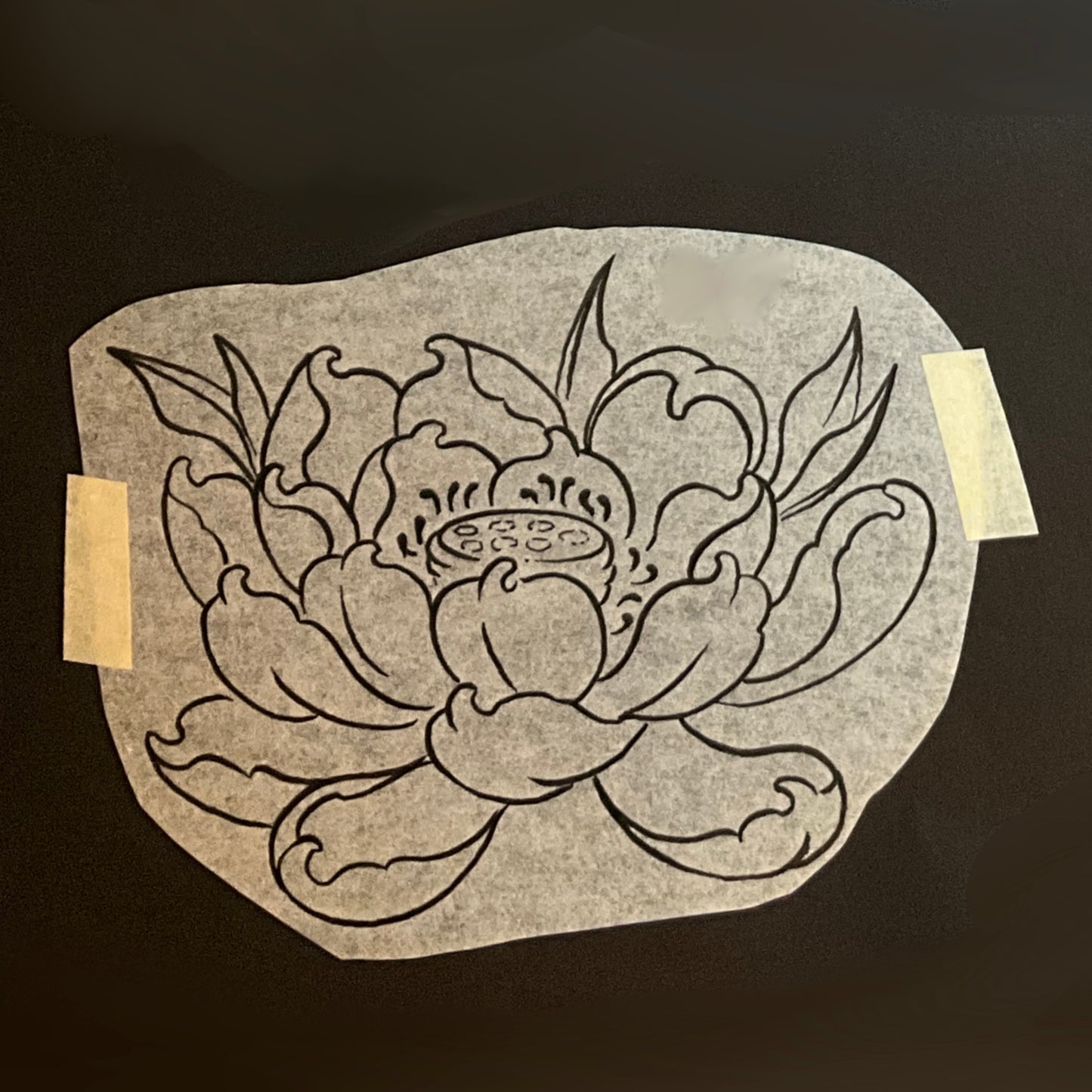 Soft Lotus