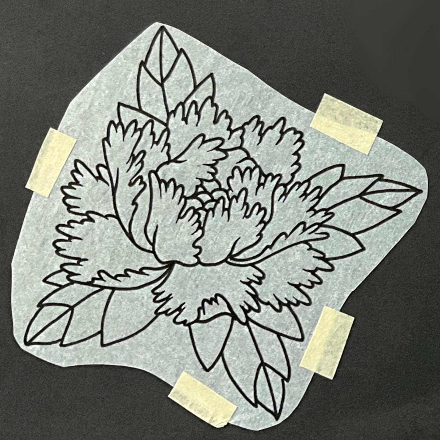Peony 3