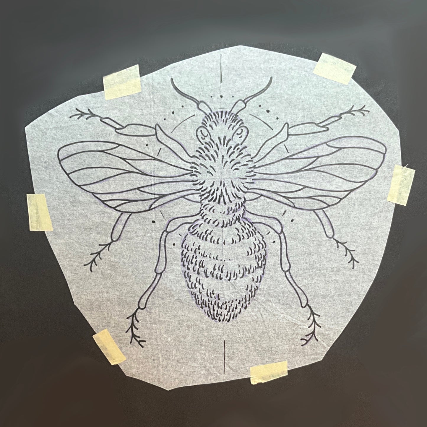 Honey Bee