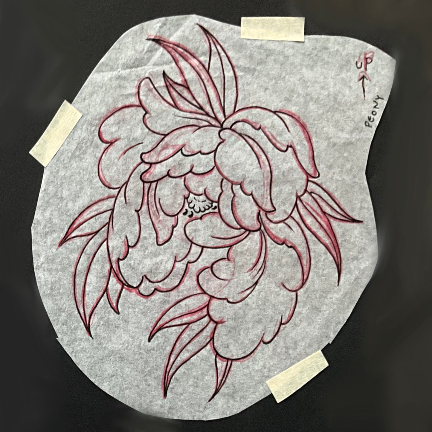 Peony