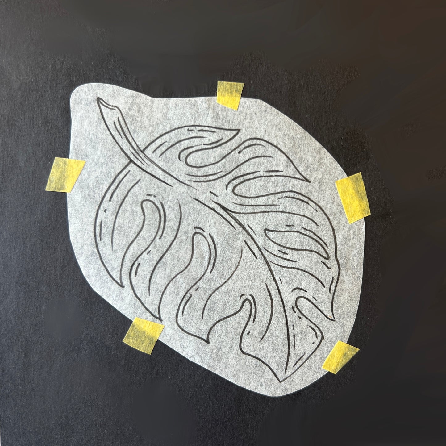 Monstera Leaf