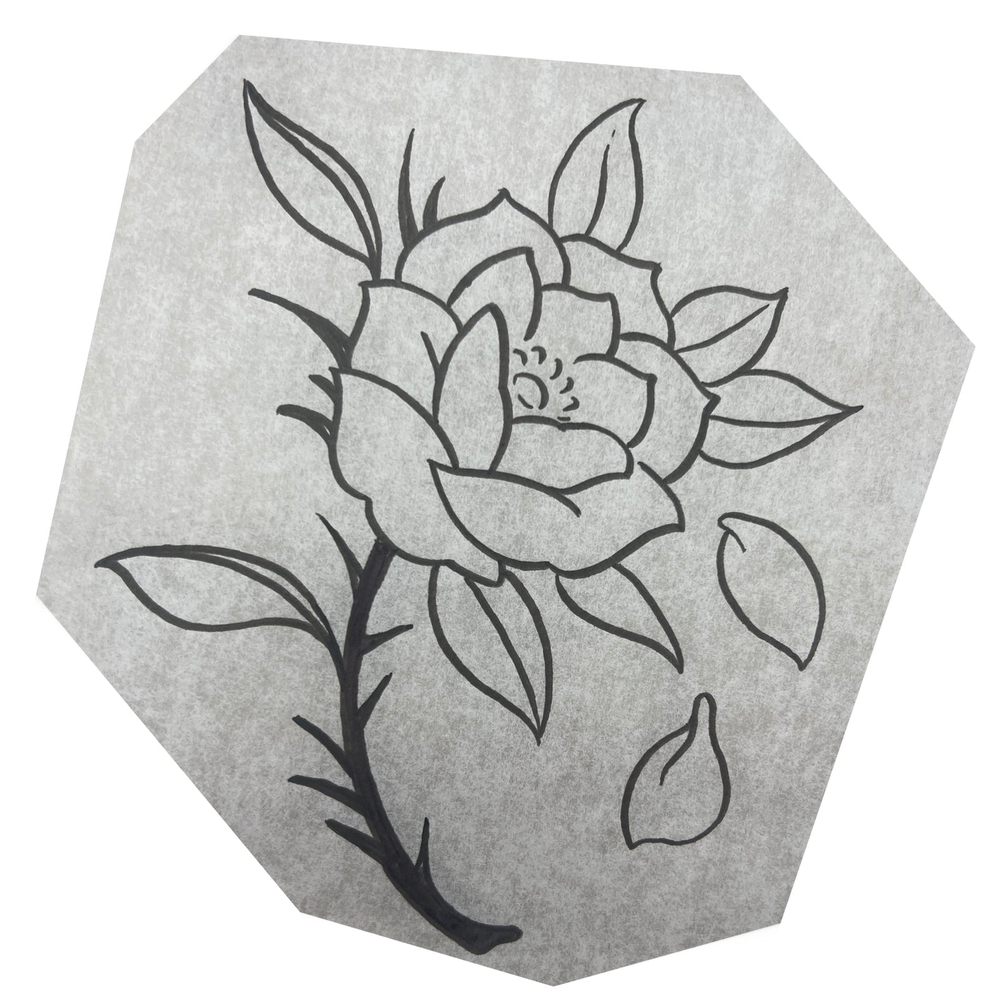Rose1c1