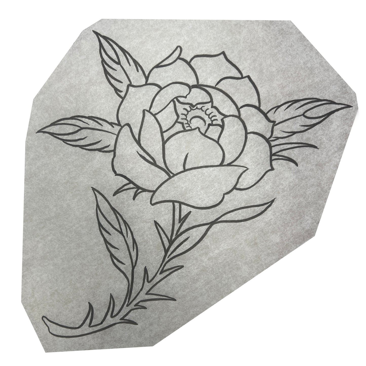 Rose6c1