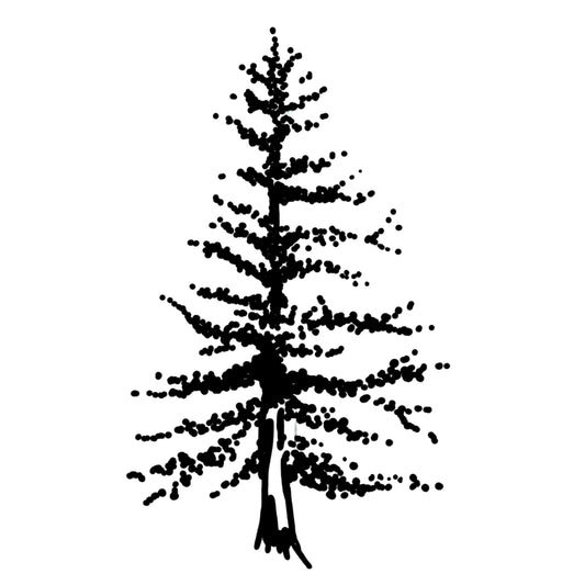 Evergreen Tree Tattoo