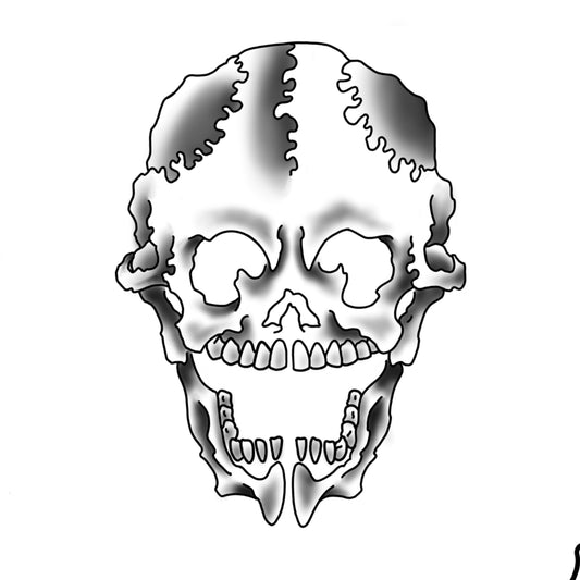 front facing Japanese skull
