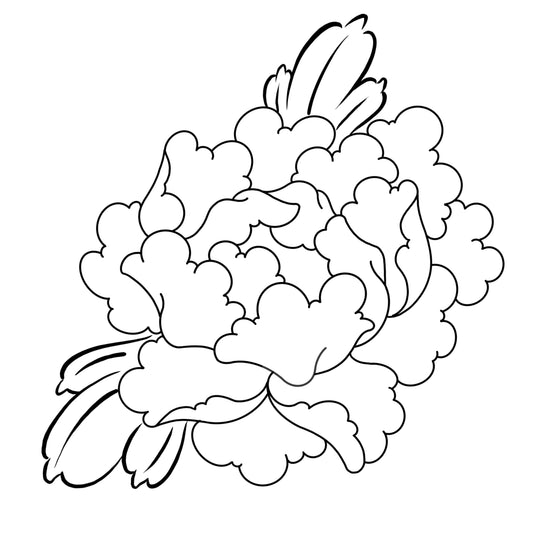 Peony 1