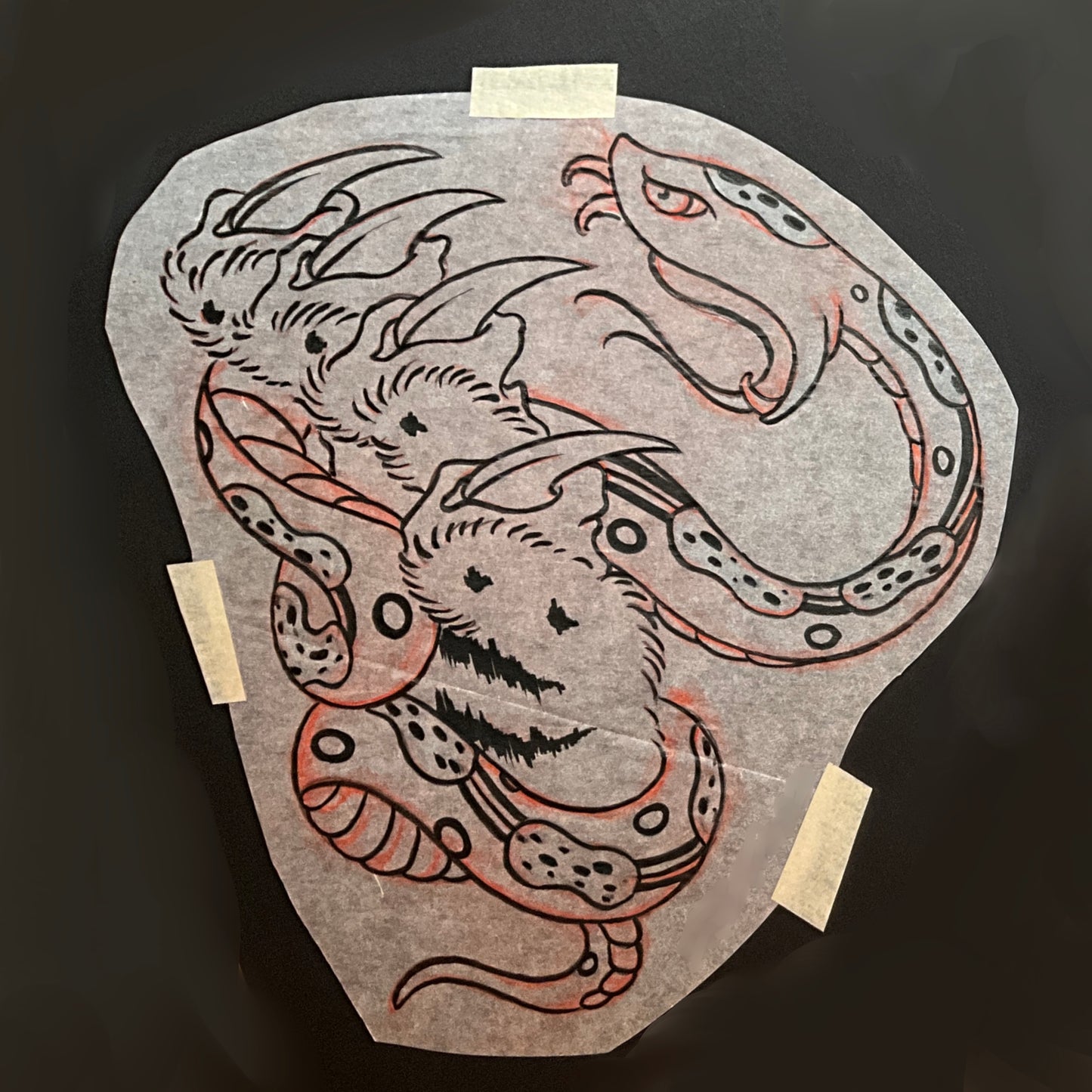 Tiger claw and snake