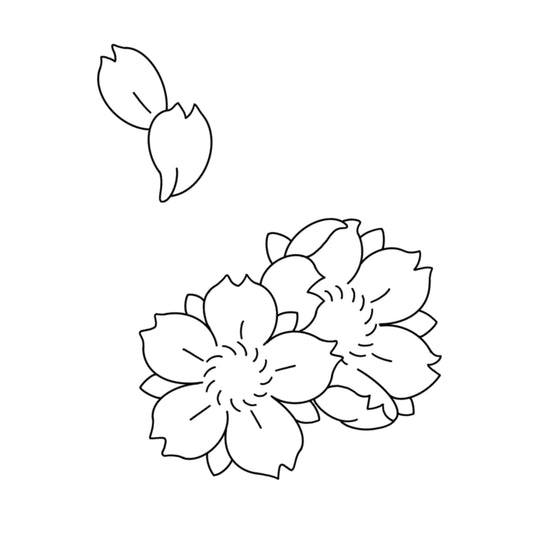 sakura blossoms