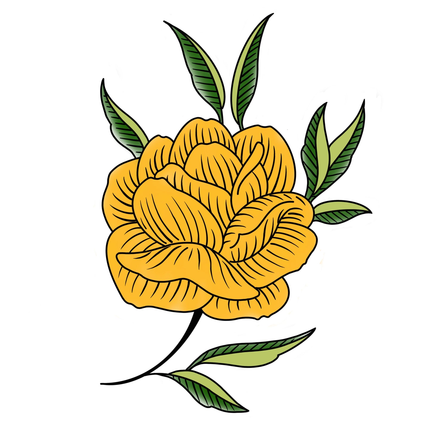 Antique rose 1