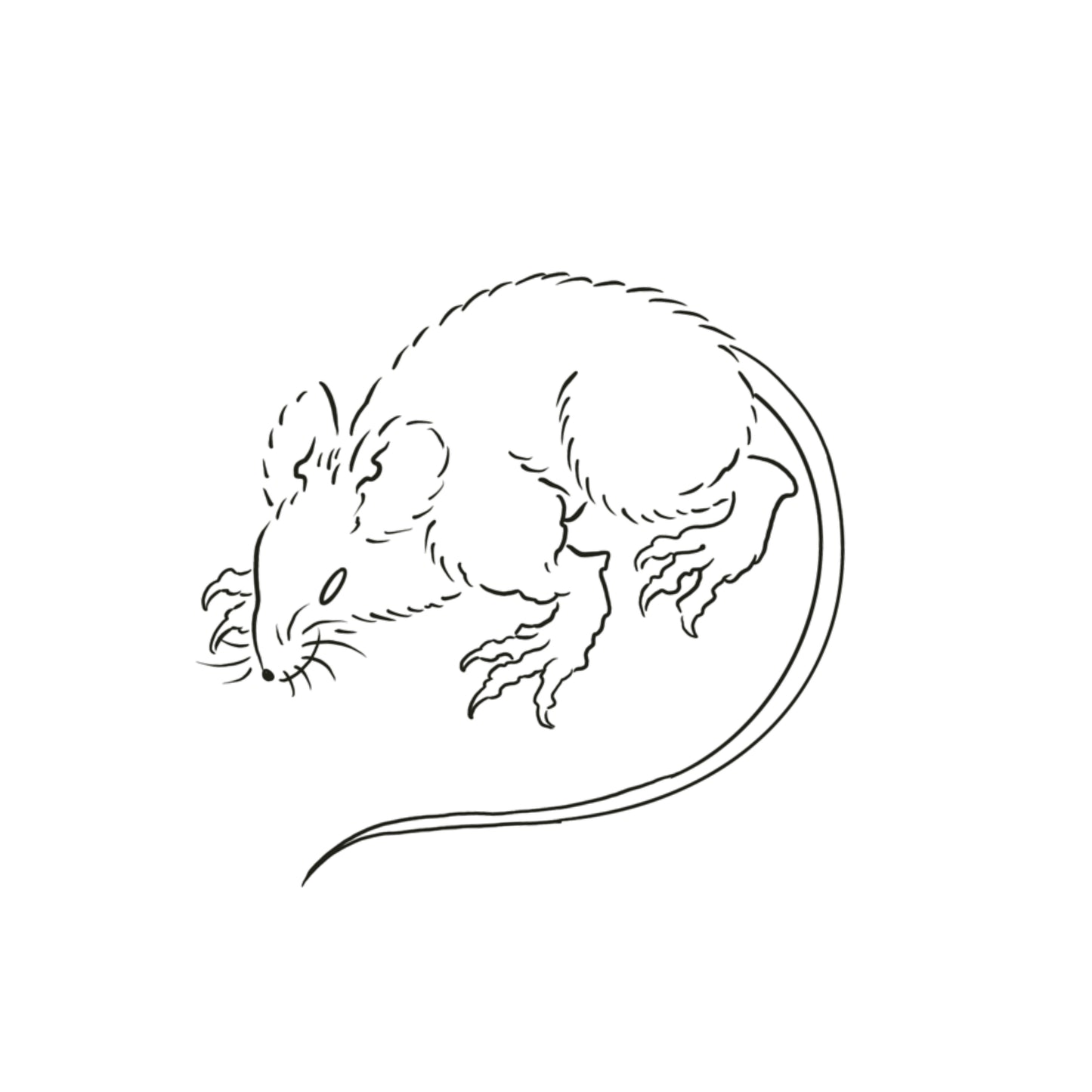 Hokusai rat