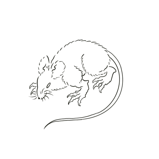 Hokusai rat