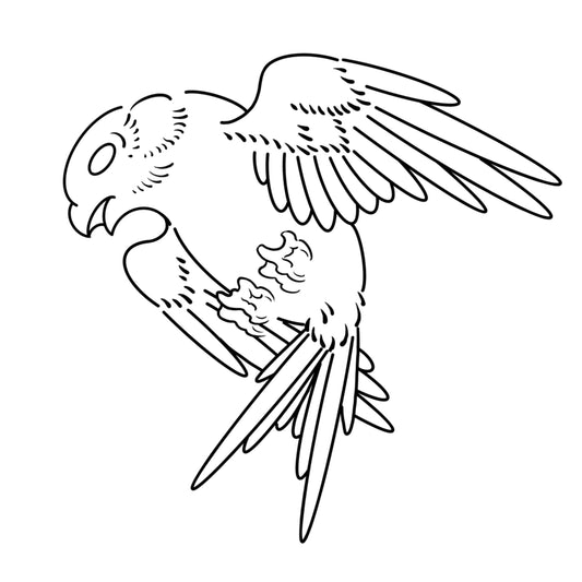 Swallow