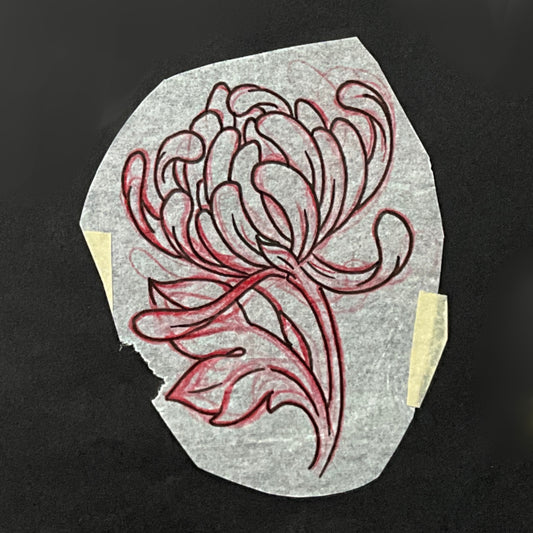 Chrysanthemum 2