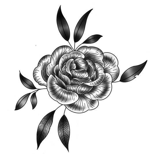 Antique rose 3