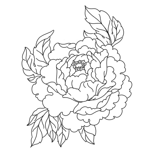 Peony 6